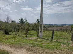 Fazenda / Sítio / Chácara à venda, 12100m² no Rural, Torre de Pedra - Foto 16