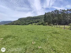 Fazenda / Sítio / Chácara à venda, 370000m² no Itinga, Tijucas - Foto 21