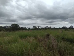 Fazenda / Sítio / Chácara com 3 Quartos à venda, 20000m² no Area Rural do Paranoa, Brasília - Foto 4