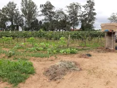 Fazenda / Sítio / Chácara com 2 Quartos à venda, 82m² no Bom Retiro, Porto Feliz - Foto 11