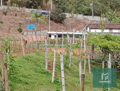 Terreno / Lote / Condomínio à venda, 4550m² no , São José do Vale do Rio Preto - Foto 16