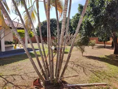 Fazenda / Sítio / Chácara com 2 Quartos à venda, 1000m² no Estancia Sobrinho Zona Rural, São José do Rio Preto - Foto 8