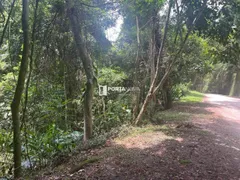 Terreno / Lote / Condomínio à venda, 6540m² no Chacaras Embu Colonial, Embu das Artes - Foto 11