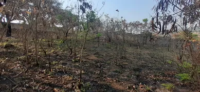 Terreno / Lote / Condomínio à venda, 1080m² no Bom Jesus, Matozinhos - Foto 3