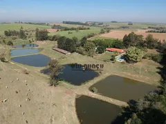 Fazenda / Sítio / Chácara à venda, 169400m² no , Tietê - Foto 29