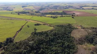 Fazenda / Sítio / Chácara à venda, 484000m² no Zona Rural, Ipeúna - Foto 6