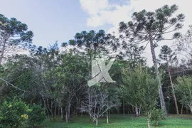 Fazenda / Sítio / Chácara com 2 Quartos à venda, 16680m² no Chacrinha Nossa Senhora do Rocio, Campo Largo - Foto 13