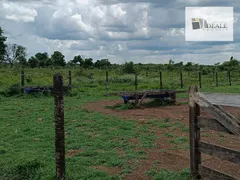 Fazenda / Sítio / Chácara à venda, 590m² no Zona Rural, Poconé - Foto 16