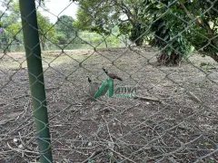 Fazenda / Sítio / Chácara com 4 Quartos para venda ou aluguel, 500m² no , Esmeraldas - Foto 20