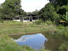 Fazenda / Sítio / Chácara com 5 Quartos à venda, 480000m² no Posse, Petrópolis - Foto 14