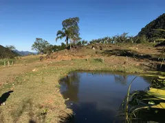 Fazenda / Sítio / Chácara à venda, 1500m² no Santa Luzia, Jaraguá do Sul - Foto 32