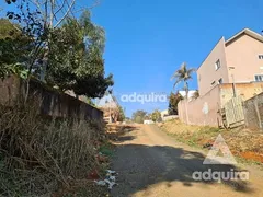 Terreno / Lote / Condomínio à venda, 10m² no Estrela, Ponta Grossa - Foto 7