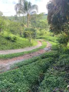 Fazenda / Sítio / Chácara com 3 Quartos à venda, 3000m² no , Santa Isabel - Foto 6