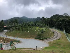 Fazenda / Sítio / Chácara à venda, 250m² no Rio Novo, Águas Mornas - Foto 9