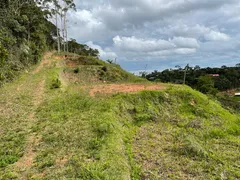 Fazenda / Sítio / Chácara com 3 Quartos à venda, 5000m² no Zona Rural, Marechal Floriano - Foto 15