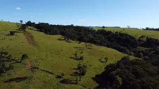 Fazenda / Sítio / Chácara à venda, 3025000m² no Zona Rural, Ibiporã - Foto 5