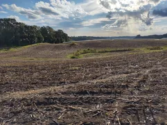 Terreno / Lote / Condomínio à venda, 151800m² no Forqueta, Caxias do Sul - Foto 11