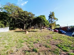 Terreno / Lote / Condomínio para alugar, 1113m² no Centro, Ibirite - Foto 12