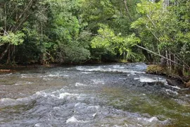 Terreno / Lote / Condomínio à venda, 200000m² no , Presidente Figueiredo - Foto 2