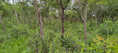 Terreno / Lote / Condomínio à venda, 1600m² no Recanto Da Lagoa, Lagoa Santa - Foto 6