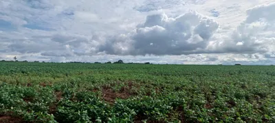 Fazenda / Sítio / Chácara com 2 Quartos à venda, 420000m² no Paranoá, Brasília - Foto 6