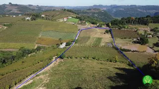 Fazenda / Sítio / Chácara à venda, 35000m² no Zona Rural, Santa Tereza - Foto 8
