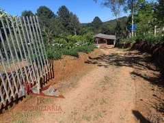 Fazenda / Sítio / Chácara com 2 Quartos à venda, 4400m² no Zona Rural, Mandirituba - Foto 6