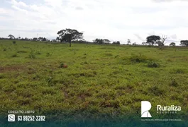 Fazenda / Sítio / Chácara à venda, 774m² no Zona Rural, Goianorte - Foto 10