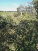 Fazenda / Sítio / Chácara à venda, 15004000m² no Zona Rural, Poconé - Foto 4