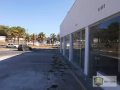 Loja / Salão / Ponto Comercial para alugar, 190m² no Sousas, Campinas - Foto 7