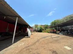 Terreno / Lote / Condomínio para alugar, 1200m² no São Luíz, Belo Horizonte - Foto 1