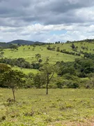 Fazenda / Sítio / Chácara com 3 Quartos à venda no Centro, Vila Propício - Foto 17