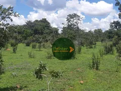 Fazenda / Sítio / Chácara com 4 Quartos à venda, 14800000m² no Zona Rural, Paranatinga - Foto 11