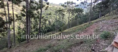 Terreno / Lote / Condomínio à venda, 37000m² no Zona Rural, Virgínia - Foto 4