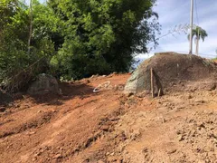 Fazenda / Sítio / Chácara à venda, 20000m² no Lagoa Nova, Guararema - Foto 16