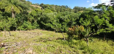 Fazenda / Sítio / Chácara à venda, 40000m² no Zona Rural, Monte Belo do Sul - Foto 2