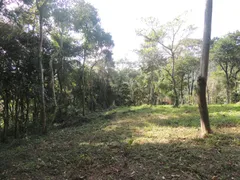 Terreno / Lote / Condomínio à venda, 20000m² no Areias de Macacu, Garopaba - Foto 13