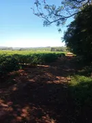 Fazenda / Sítio / Chácara com 6 Quartos à venda, 266200m² no Zona Rural, Altinópolis - Foto 3