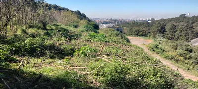 Terreno / Lote Comercial à venda, 9870m² no Industrial Anhangüera, Osasco - Foto 6