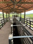 Fazenda / Sítio / Chácara à venda, 212000m² no Area Rural de Garanhuns, Garanhuns - Foto 22