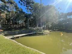 Fazenda / Sítio / Chácara com 4 Quartos à venda, 24000m² no Roça Velha, São José dos Pinhais - Foto 3