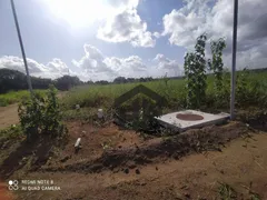 Terreno / Lote / Condomínio à venda, 1000m² no Guabiraba, Recife - Foto 15