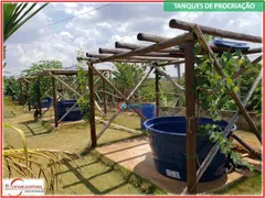 Fazenda / Sítio / Chácara com 3 Quartos à venda, 1000m² no Parque Orestes Ongaro, Hortolândia - Foto 10