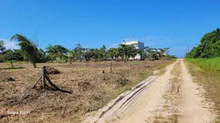 Terreno / Lote / Condomínio à venda, 4200m² no Praia do Ervino, São Francisco do Sul - Foto 10