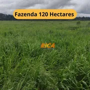 Fazenda / Sítio / Chácara à venda, 1200000m² no , Candeias do Jamari - Foto 1