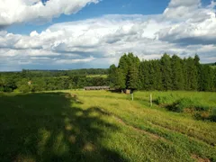 Fazenda / Sítio / Chácara com 3 Quartos à venda, 150m² no Zona Rural, Quadra - Foto 15