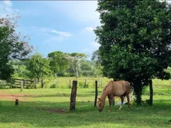 Fazenda / Sítio / Chácara à venda, 3000000m² no Zona Rural, Poconé - Foto 3