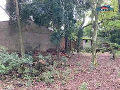 Fazenda / Sítio / Chácara com 3 Quartos à venda, 6643m² no Jardim Planalto, Esteio - Foto 11