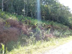 Fazenda / Sítio / Chácara à venda, 20000m² no Rio Sagrado, Morretes - Foto 5