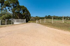 Fazenda / Sítio / Chácara com 4 Quartos à venda, 348800m² no Area Rural de Fazenda Rio Grande, Fazenda Rio Grande - Foto 92